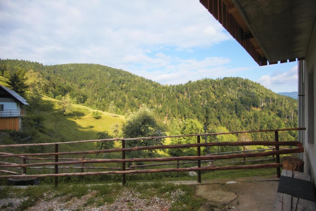 Apartma Gorski Razgled Средня Вас-у-Бохіню Екстер'єр фото